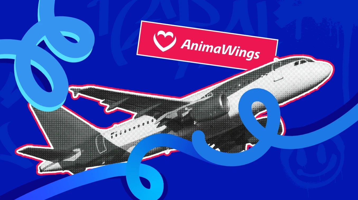 Anima Wings x BT
