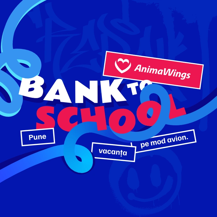 Hero image Anima Wings x BT Mobile
